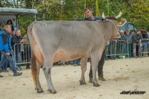 k-AR8I4446 Vize Miss OB Rino Dilia Rene Stalder